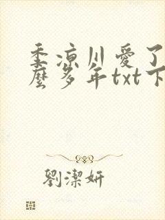 季凉川爱了你这么多年txt下载