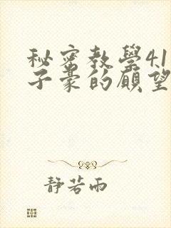 秘密教学41话子豪的愿望是