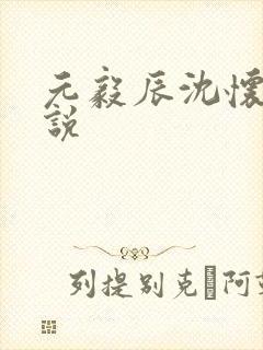 元毅辰沈怀妆小说