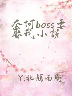 奈何boss要娶我小说