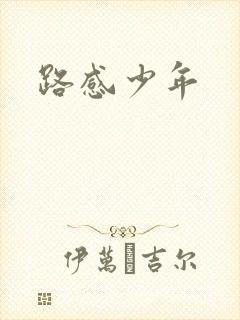 路感少年