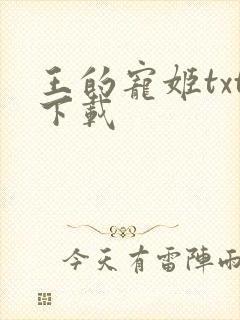 王的宠姬txt下载
