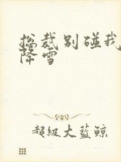 总裁别碰我 韩降雪