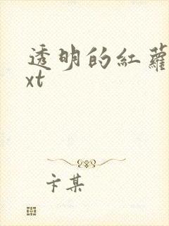 透明的红萝卜txt