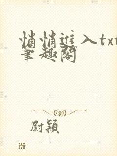 悄悄进入txt笔趣阁