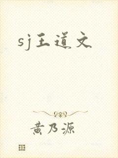 sj王道文
