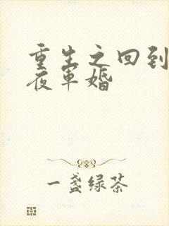 重生之回到新婚夜军婚