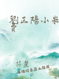 刘正阳小米多免费