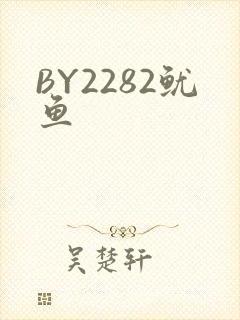 BY2282鱿鱼
