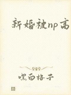 新婚被np高h