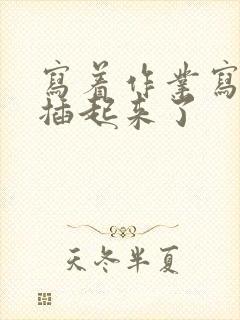 写着作业写着就插起来了