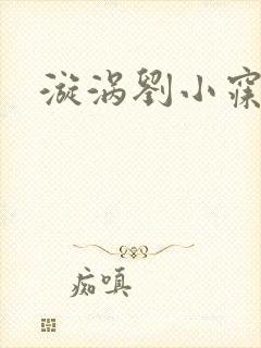 漩涡刘小寐