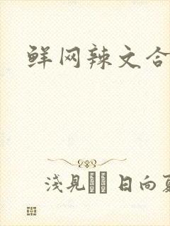 鲜网辣文合集