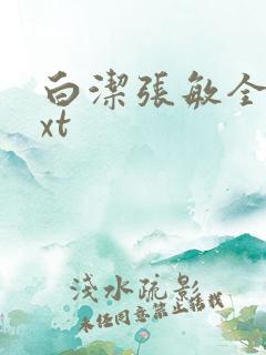 白洁张敏全集txt