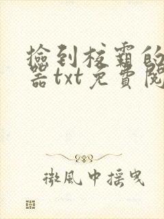 捡到校霸的遥控器txt免费阅读