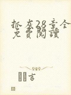 抓灰28章全部免费阅读