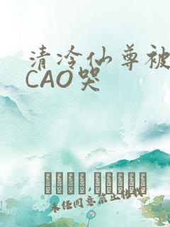 清冷仙尊被强制CAO哭