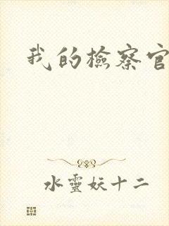 我的检察官先生