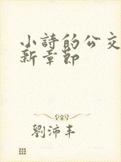 小诗的公交车最新章节