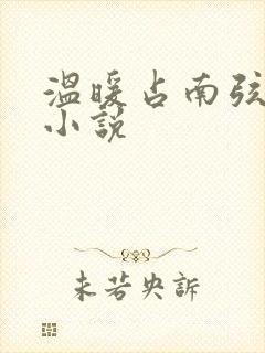 温暖占南弦尹衿小说