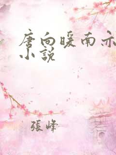 唐向暖南亦琛的小说