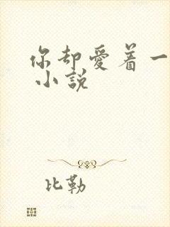 你却爱着一个他 小说