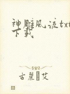 神雕风流txt下载