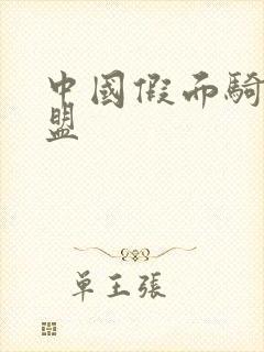 中国假面骑士联盟