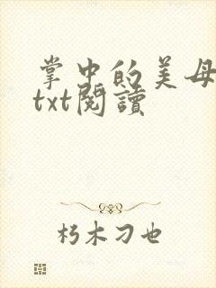 掌中的美母版主txt阅读