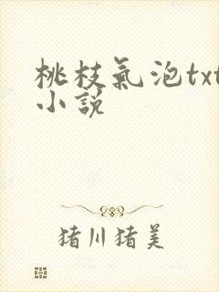 桃枝气泡txt小说