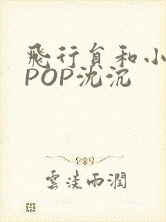 飞行员和小空乘POP沈沉