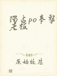 独占po拳击馆老板