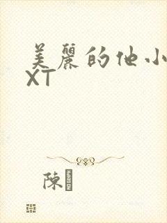 美丽的他小说TXT