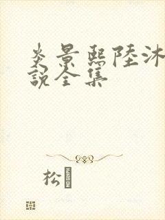 炎景熙陆沐擎小说全集