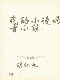 我的小后妈免费看小说