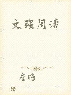文强周涛