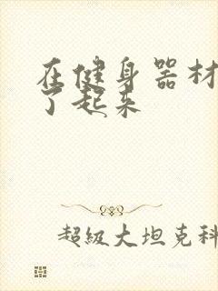 在健身器材上做了起来