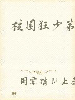 校园狂少第二部