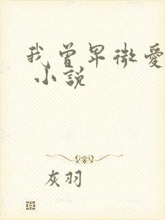 我曾卑微爱过你 小说