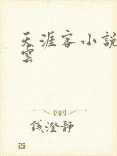 天涯客小说百度云