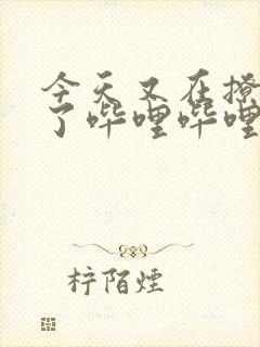 今天又在撩后妈了哔哩哔哩小说