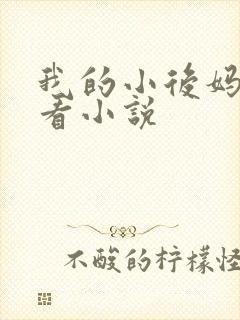 我的小后妈免费看小说