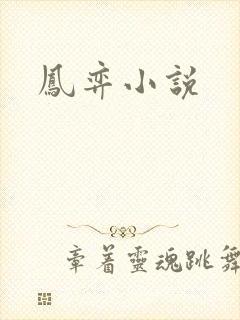 凤弈小说