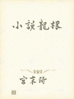小说龙根