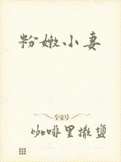 粉嫩小妻