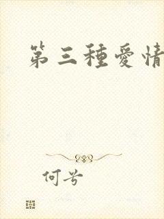 第三种爱情番外