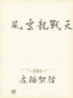 风云龙战天下