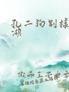 孔二狗别样的江湖