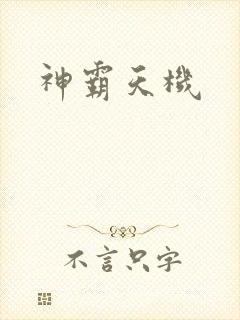 神霸天机