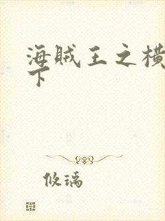 海贼王之横行天下